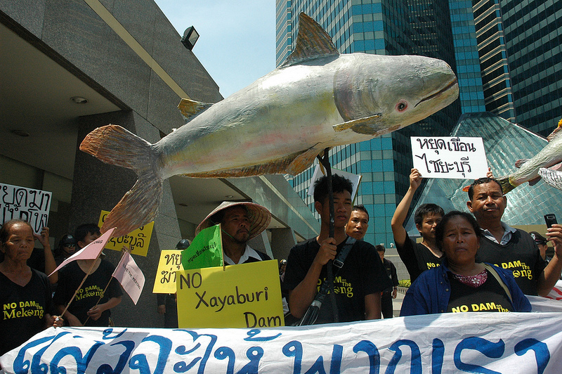 Photos From the River Movement - International Rivers Resource Hub