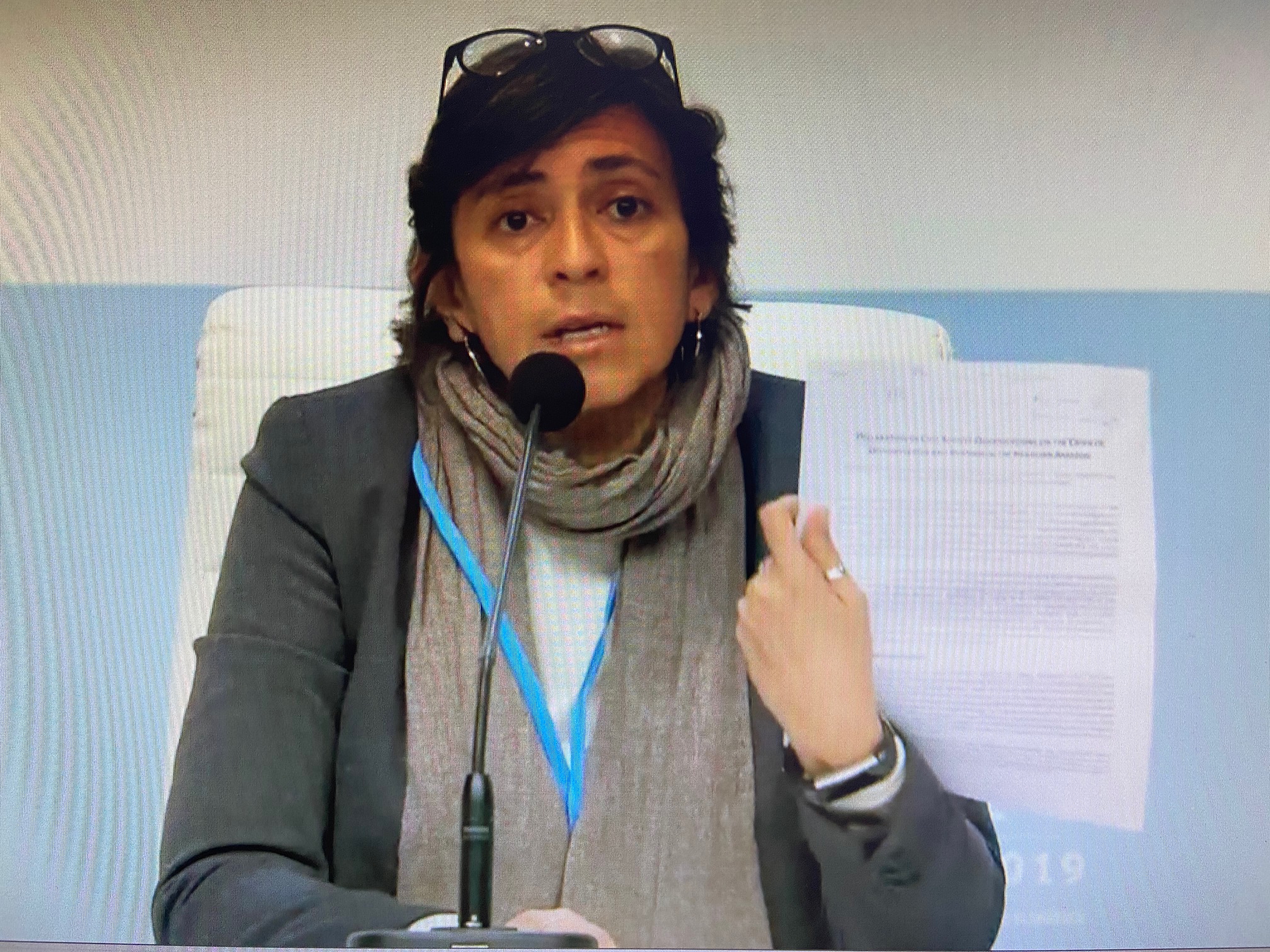 UNFCCC Website Ane Alencar of Amazonian Environmental Research Institute (IPAM) presents joint declaration at press conference.
